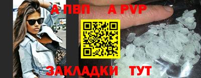 спиды Бийск