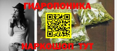 спиды Бийск