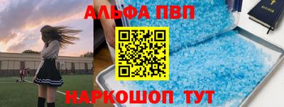 спиды Бийск