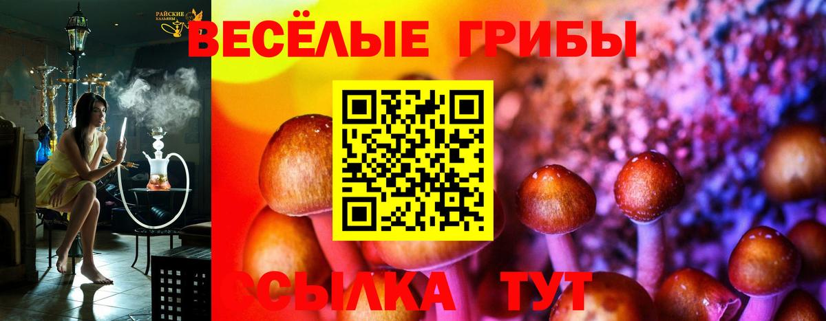 Галлюциногенные грибы мухоморы  Вход с VPN  Псилоцибиновые грибы Psilocybine cubensis  Звенигород 